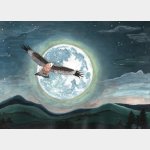 MAI: Nachtflug bei Vollmond